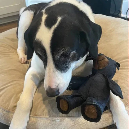Bear-Shaped Dog Toy with Chew-Resistant Materials