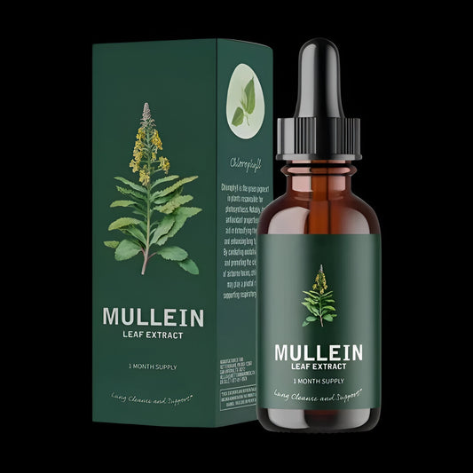 Mullein Supplement Gluten Free for Optimal Lung Health