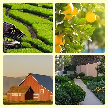 Animal Repellent Solar Powered Warning Lights for Night