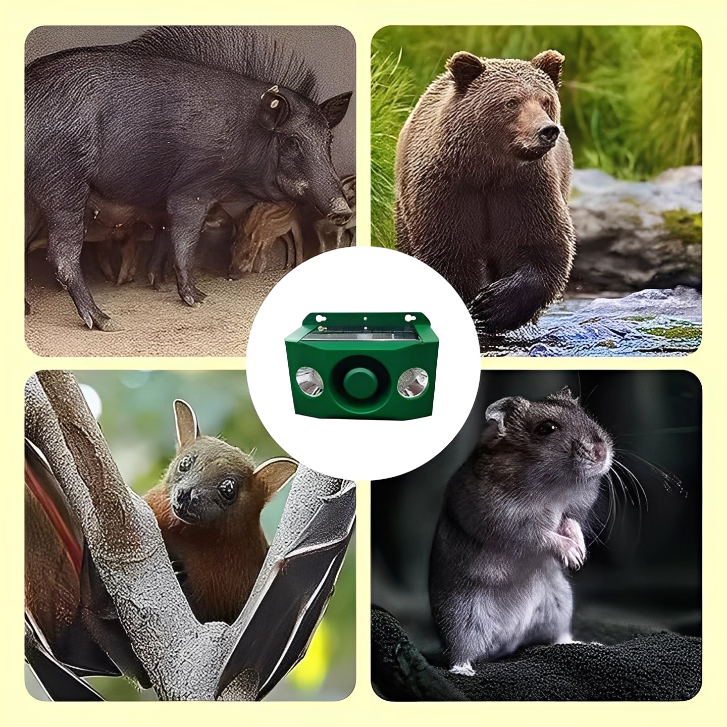 Animal Repellent Solar Powered Warning Lights for Night