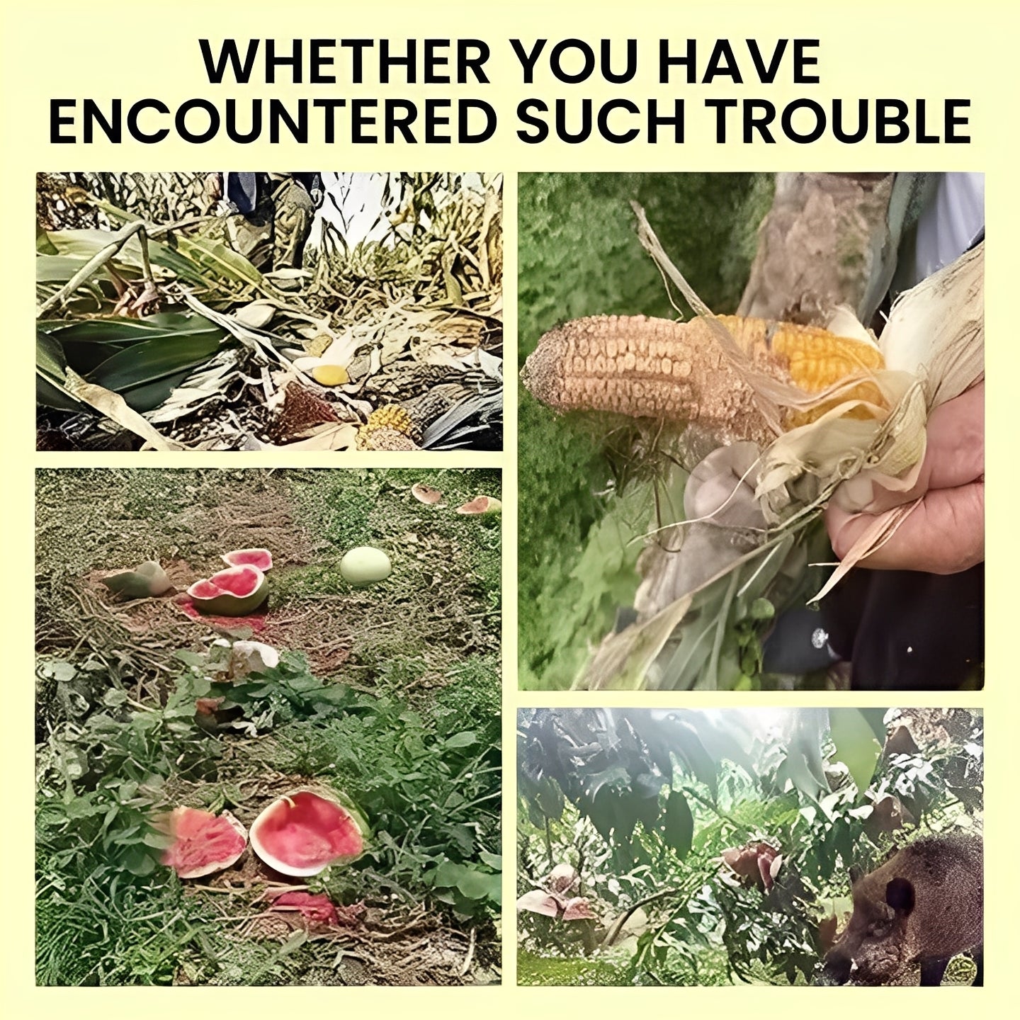 Animal Repellent Solar Powered Warning Lights for Night
