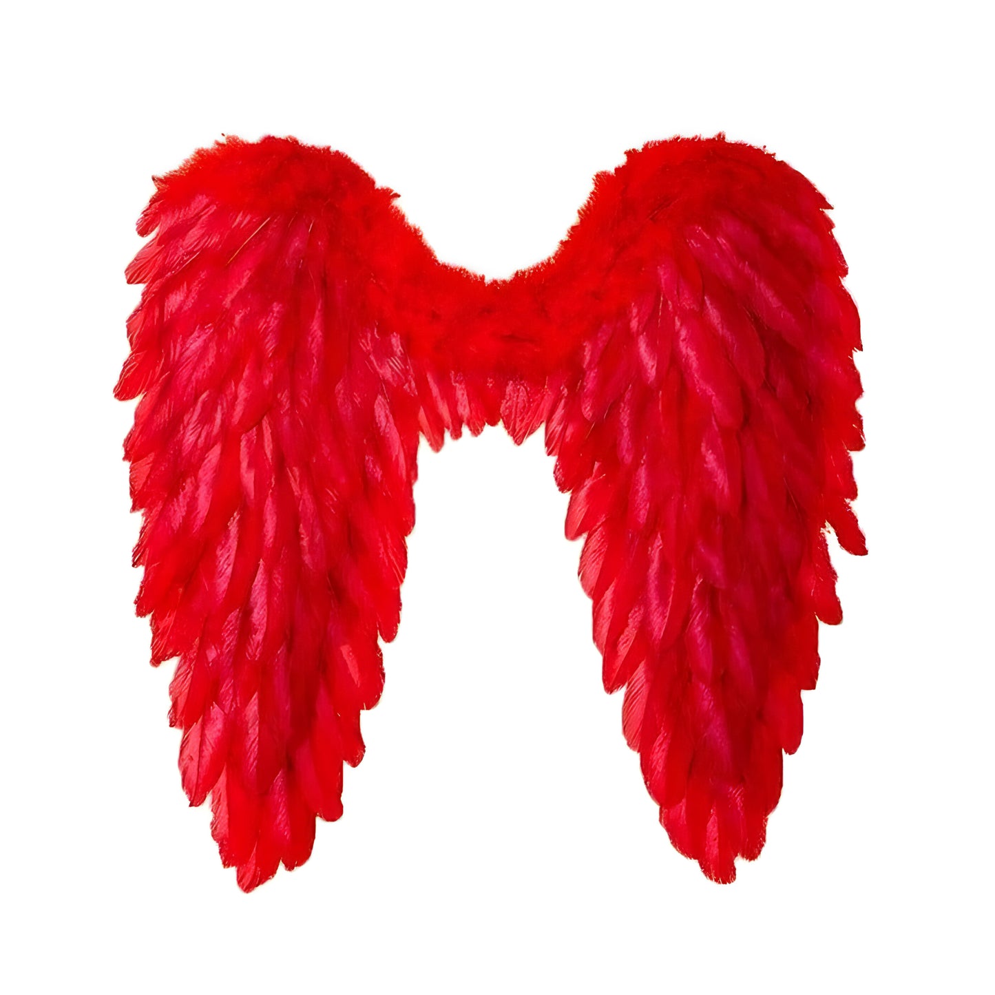 Angel Wings Costume Feathered for Adults and Kids