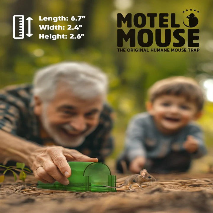 4 Pack Reusable Mouse Trap for Effective Rodent Control