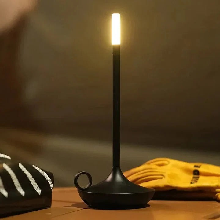 Rechargeable LED Desk Lamp Touch Control for Reading and Study