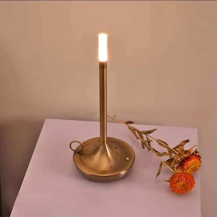 Rechargeable LED Desk Lamp Touch Control for Reading and Study