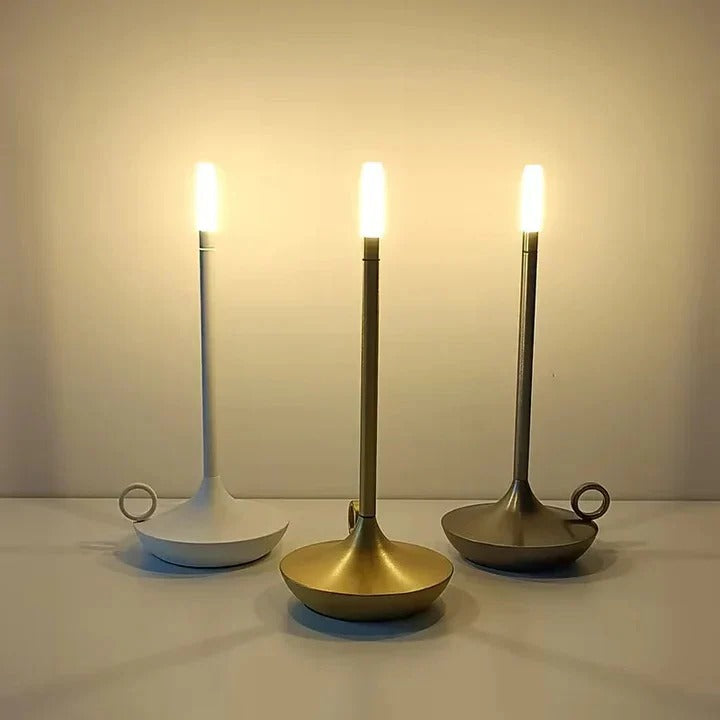 Rechargeable LED Desk Lamp Touch Control for Reading and Study