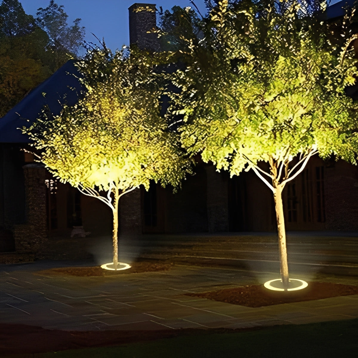 Outdoor LED Spotlight for Tree and Landscape Lighting