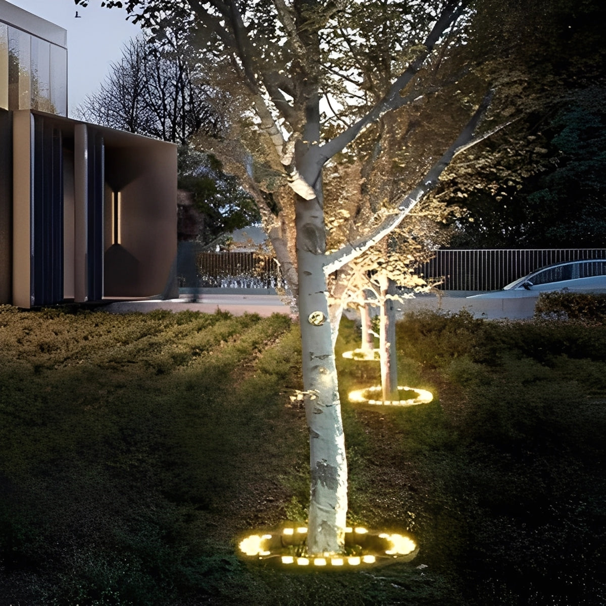 Outdoor LED Spotlight for Tree and Landscape Lighting