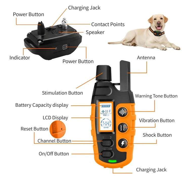 Dog Training E Collar Remote for Training and Control