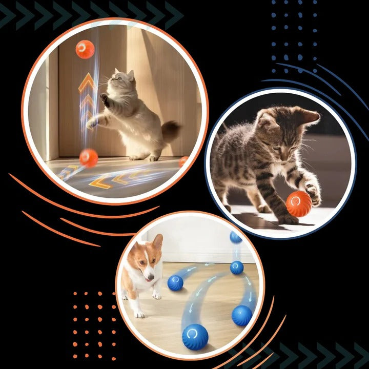 Interactive Dog Ball Toy for Chasing and Avoidance Play