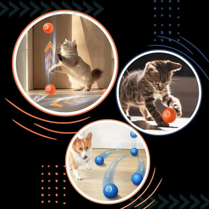 Interactive Dog Ball Toy for Chasing and Avoidance Play