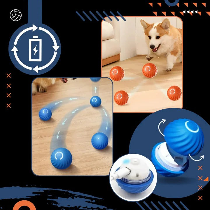 Interactive Dog Ball Toy for Chasing and Avoidance Play