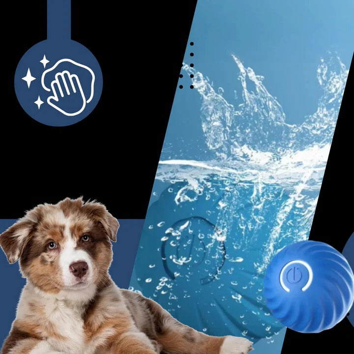 Interactive Dog Ball Toy for Chasing and Avoidance Play