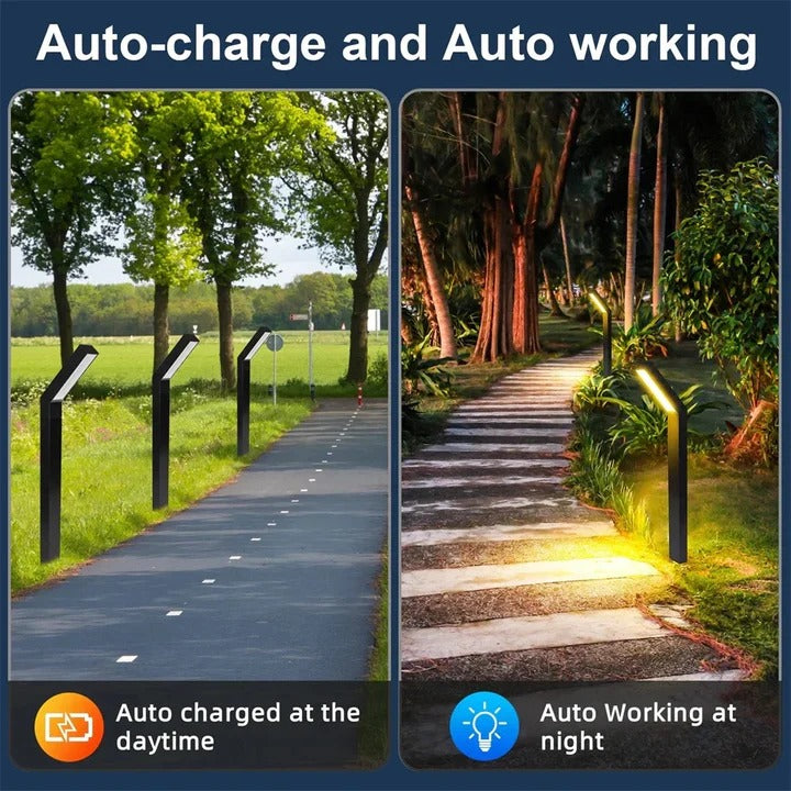 LED Solar Pathway Lights for Lawn and Yard