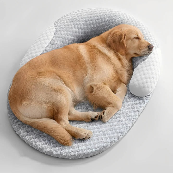 Washable Orthopedic Cooling Dog Bed with Memory Foam and Support