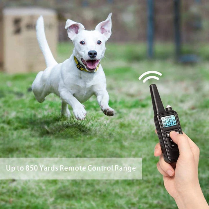 Shock and Vibration Electric Dog Training Collar 800M Range with Smart Memory