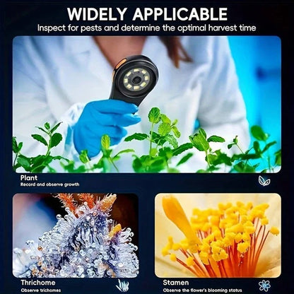 Portable USB Digital Microscope and 500X Magnifier for Coins and Collectibles