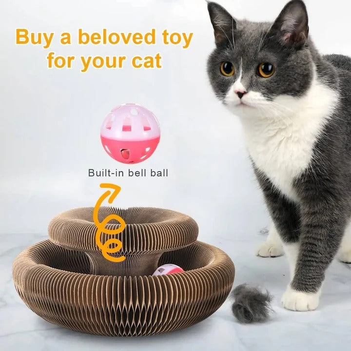 Circular Cat Scratcher with Integrated Ball Track