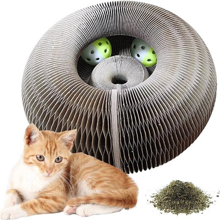 Circular Cat Scratcher with Integrated Ball Track