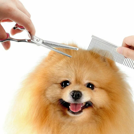 Pet Grooming Set with 7 Inch Stainless Steel Scissor