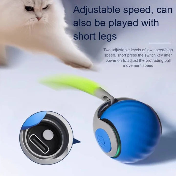Electronic Interactive Cat Toy for Indoor Play