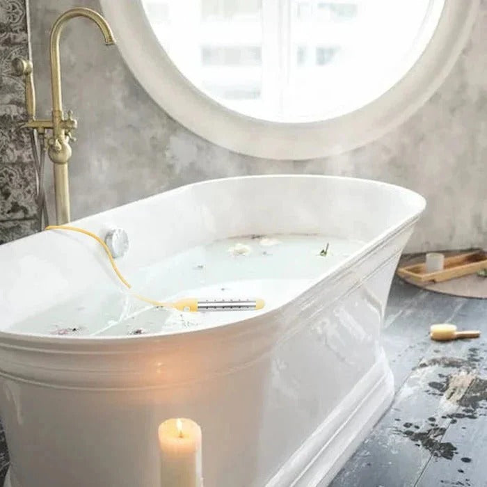 Premium Electric Water Heater and Portable Heating Rod