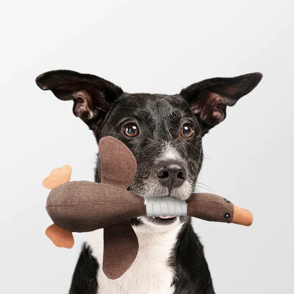 Tough Goose Plush Toy for Strong pet Chewing