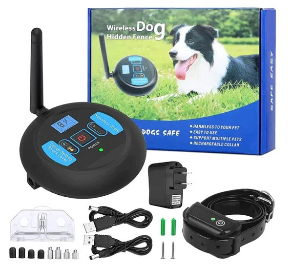 Dual Wireless Boundary and Remote Outdoor Trainer