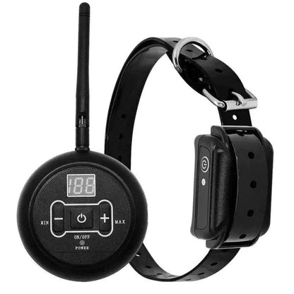 Dual Wireless Boundary and Remote Outdoor Trainer