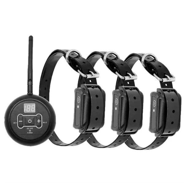 Dual Wireless Boundary and Remote Outdoor Trainer