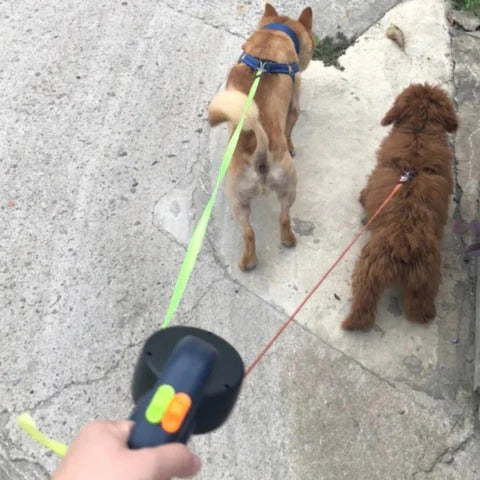 TangleFree Dual Dog Leash with LED Light & 360° Swivel