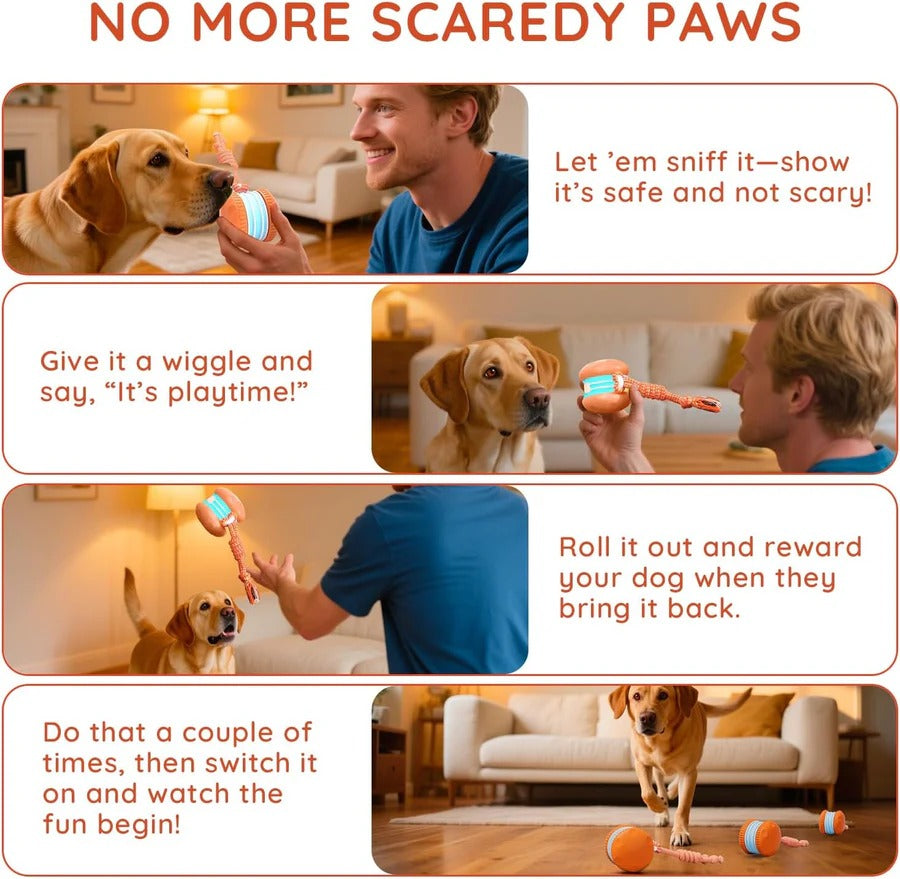 Automatic Rolling Dog Ball Toy with Rope, 2 Piece Interactive Set