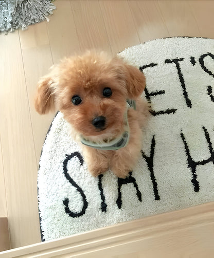 Realistic Teddy Dog Lucky Plush Puppy