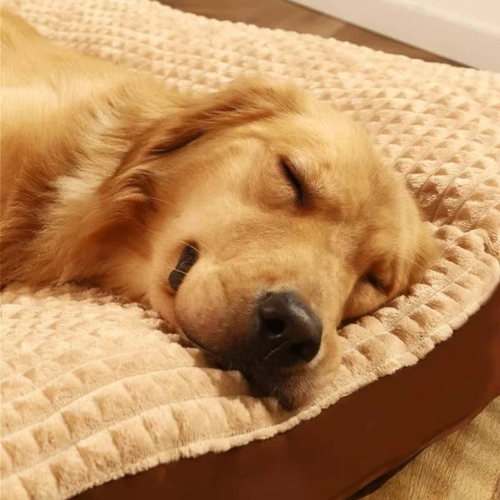 Orthopedic Dog Bed, Large Pet Mat, PP Cotton Filling, Waterproof Oxford Cover