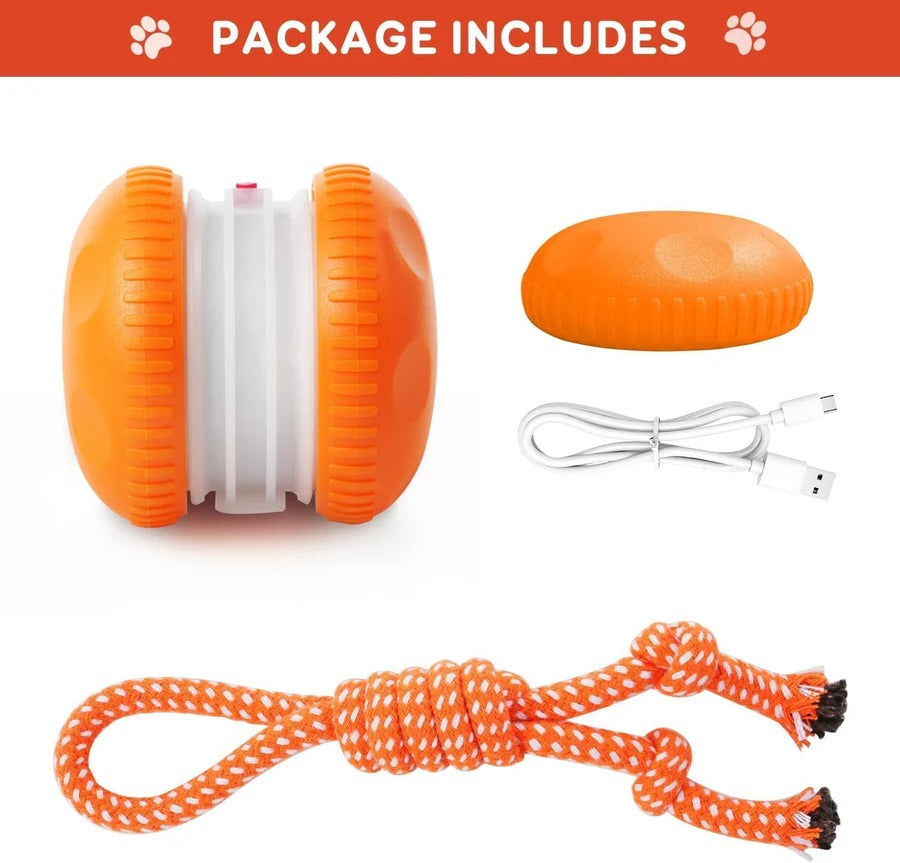 Automatic Rolling Dog Ball Toy with Rope, 2 Piece Interactive Set