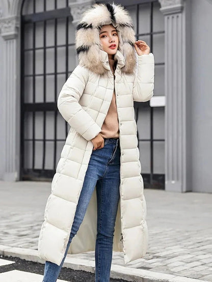 Womens Long Sleeve Cold Weather Jacket with Regular Fit in Six Colors for Fall and Winter