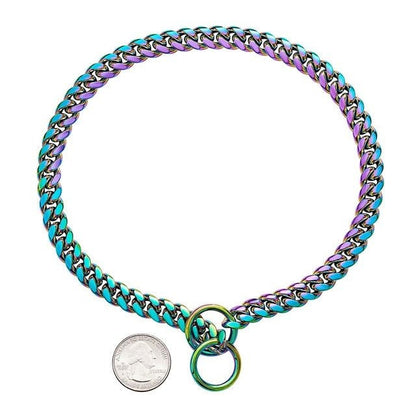 Adjustable Stainless Steel Chain Collar for Dogs
