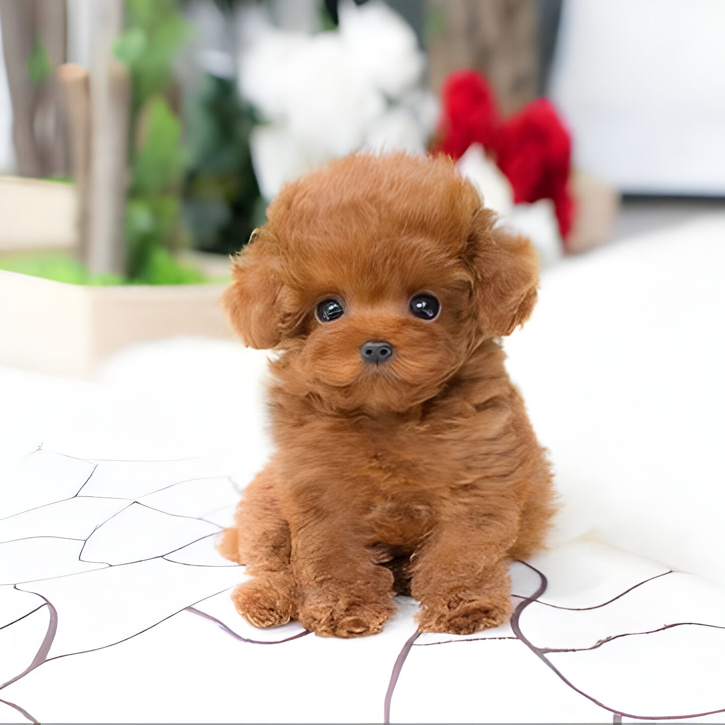 Plush Teddy Puppy Toy with Airbrushed Fur, Clay Nose and Paws and a Weighted Body in Four Colors