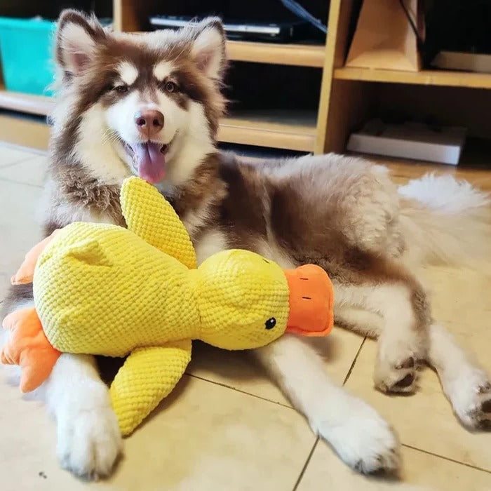 Serene Quacker Friend and Soothing Canine Plush