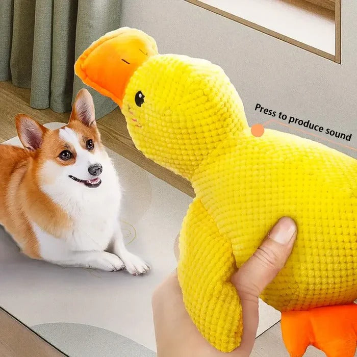 Serene Quacker Friend and Soothing Canine Plush