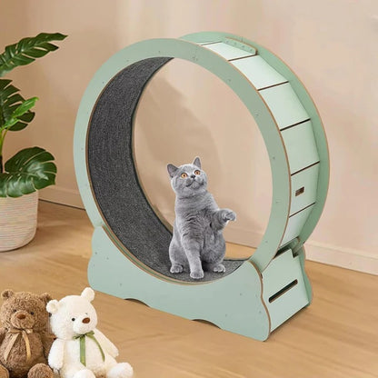 Cat Exercise Wheel