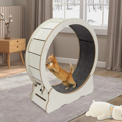 Cat Exercise Wheel