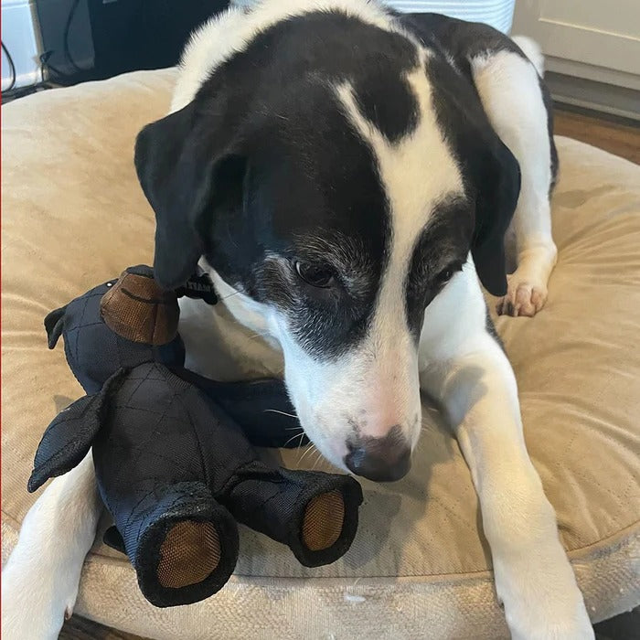 Unyielding Grizzly Guardian and Durable Interactive Mauler