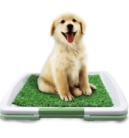 Dog Toilet with Artificial Turf