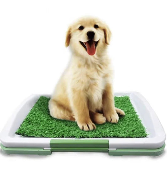 Dog Toilet with Artificial Turf