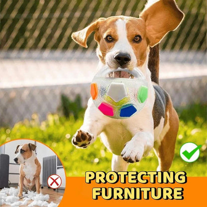 Durable Rubber Football Dog Toy with Bottle Design for Aggressive Chewers