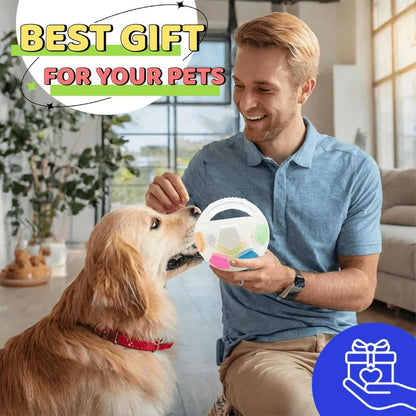 Durable Rubber Football Dog Toy with Bottle Design for Aggressive Chewers