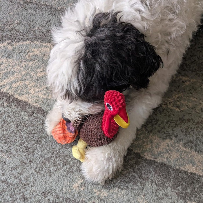 Unyielding Grizzly Guardian and Durable Interactive Mauler