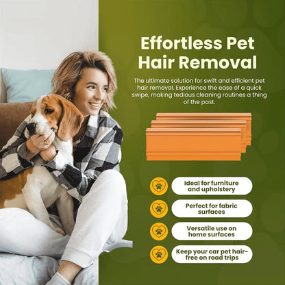 Pet Hair Removal Tool for Car Interiors and Furniture Upholstery