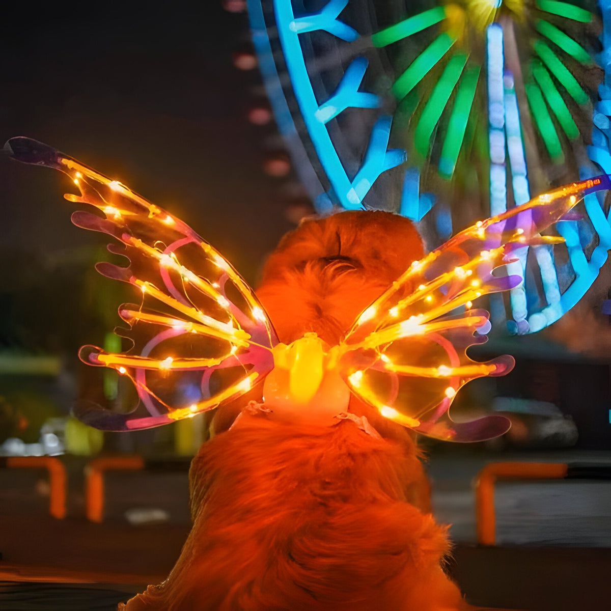Light Up Butterfly Fairy Wings Costume for Kids and Adults with Flapping Motion and Adjustable Straps
